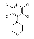 4-(2,3,5,6-tetrachloro-pyridin-4-yl)-morpholine结构式