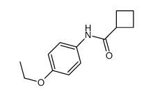 Cyclobutanecarboxamide, N-(4-ethoxyphenyl)- (9CI)结构式