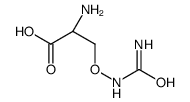 (2S)-2-amino-3-(carbamoylamino)oxypropanoic acid结构式