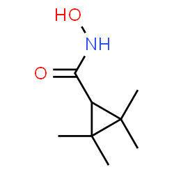 Cyclopropanecarboxamide, N-hydroxy-2,2,3,3-tetramethyl- (9CI) Structure