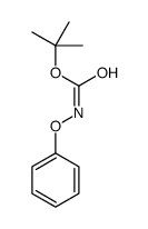 Carbamic acid, phenoxy-, 1,1-dimethylethyl ester (9CI) structure