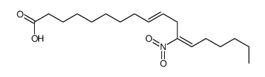 12-nitrooctadeca-9,12-dienoic acid Structure