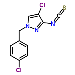 4-CHLORO-1-(4-CHLORO-BENZYL)-3-ISOTHIOCYANATO-1H-PYRAZOLE Structure