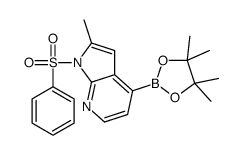 1H-PYRROLO[2,3-B]PYRIDINE, 2-METHYL-1-(PHENYLSULFONYL)-4-(4,4,5,5-TETRAMETHYL-1,3,2-DIOXABOROLAN-2-YL)-结构式