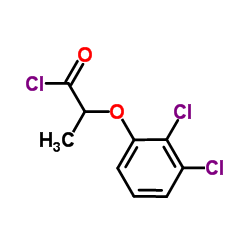 2-(2,3-Dichlorophenoxy)propanoyl chloride Structure