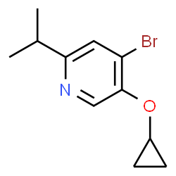 4-bromo-5-cyclopropoxy-2-isopropylpyridine structure