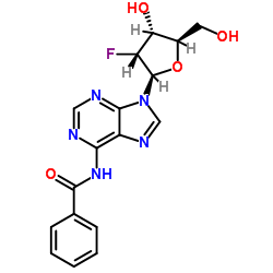N-Benzoyl-2'-deoxy-2'-fluoroadenosine picture