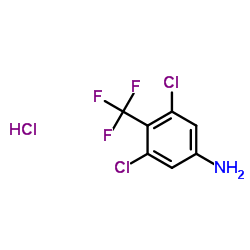 3,5-Dichloro-4-(trifluoromethyl)aniline hydrochloride (1:1)结构式
