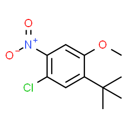 1-TERT-BUTYL-5-CHLORO-2-METHOXY-4-NITROBENZENE picture