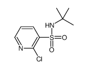 N-tert-butyl-2-chloropyridine-3-sulfonamide Structure