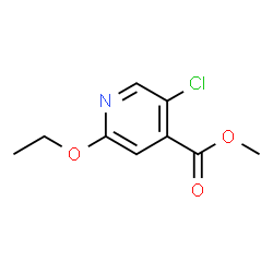 Methyl 5-chloro-2-ethoxypyridine-4-carboxylate picture