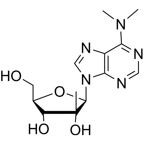 N6,N6-Dimethyl-2’-β-C-methyladenosine Structure