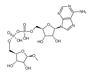 β-1'-O-methyl ADP ribose Structure