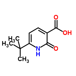 6-(2-Methyl-2-propanyl)-2-oxo-1,2-dihydro-3-pyridinecarboxylic acid picture