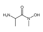 2-amino-N-hydroxy-N-methylpropanamide Structure