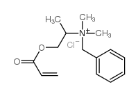 benzyl-dimethyl-(1-prop-2-enoyloxypropan-2-yl)azanium,chloride Structure