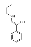 N'-propylpyridine-2-carbohydrazide Structure