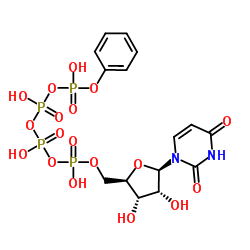 Uridine-5'-tetraphosphateδ-phenylestertetrasodiumsalt structure