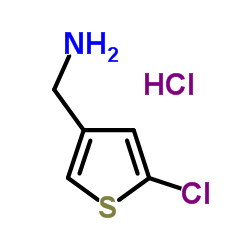 (5-chlorothiophen-3-yl)methanamine,hydrochloride picture