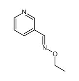 3-Pyridinecarboxaldehyde,O-ethyloxime(9CI) picture