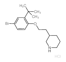 3-{2-[4-Bromo-2-(tert-butyl)phenoxy]-ethyl}piperidine hydrochloride结构式