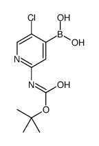 2-(TERT-BUTOXYCARBONYLAMINO)-5-CHLOROPYRIDIN-4-YLBORONIC ACID Structure