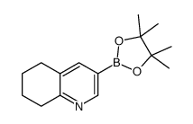 3-(4,4,5,5-tetramethyl-1,3,2-dioxaborolan-2-yl)-5,6,7,8-tetrahydroquinoline picture