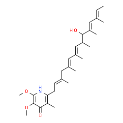 IT-143A Structure