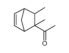 Ethanone, 1-(2,3-dimethylbicyclo[2.2.1]hept-5-en-2-yl)- (9CI) Structure
