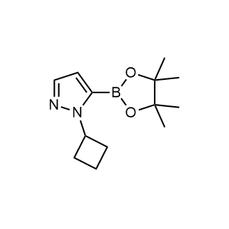 1-Cyclobutyl-5-(4,4,5,5-tetramethyl-1,3,2-dioxaborolan-2-yl)-1H-pyrazole Structure