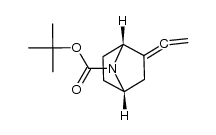 (1R,4S)-tert-butyl 2-vinylidene-7-azabicyclo[2.2.1]heptane-7-carboxylate Structure