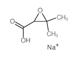 3,3-dimethyloxirane-2-carboxylic acid structure