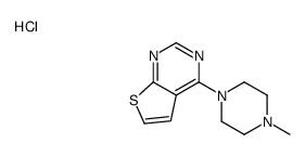 4-(4-methylpiperazin-1-yl)thieno[2,3-d]pyrimidine,hydrochloride结构式