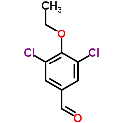 3,5-Dichloro-4-ethoxybenzaldehyde picture