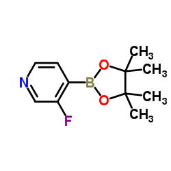 3-Fluoro-4-pyridineboronic acid pinacol ester picture