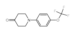 1-(4-(trifluoromethoxy)phenyl)piperidin-4-one结构式