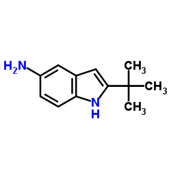 2-叔丁基-1H-吲哚-5-胺结构式