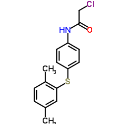 2-CHLORO-N-[4-[(2,5-DIMETHYLPHENYL)THIO]PHENYL]ACETAMIDE结构式