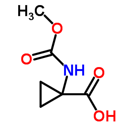 Cyclopropanecarboxylic acid, 1-[[(Methoxy)carbonyl]amino]- picture