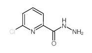 6-Chloropyridine-2-carbohydrazide structure
