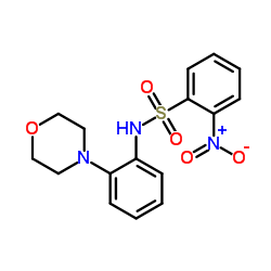 N-[2-(4-Morpholinyl)phenyl]-2-nitrobenzenesulfonamide Structure