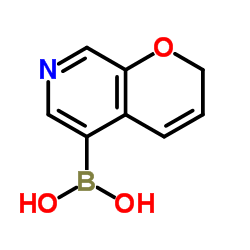 2H-Pyrano[2,3-c]pyridin-5-ylboronic acid结构式