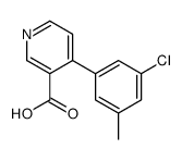 4-(3-chloro-5-methylphenyl)pyridine-3-carboxylic acid Structure