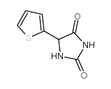 5-(2-THIENYL)HYDANTOIN picture