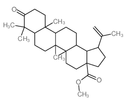 Betulonicacidmethylester structure