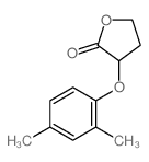 2(3H)-Furanone,3-(2,4-dimethylphenoxy)dihydro- Structure