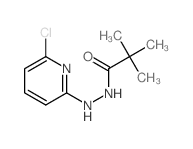 N-(6-chloropyridin-2-yl)-2,2-dimethyl-propanehydrazide结构式