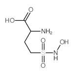 2-amino-4-(hydroxysulfamoyl)butanoic acid structure