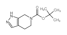 1,4,5,7-四氢-6H-吡唑并[3,4-C]吡啶-6-羧酸叔丁酯图片