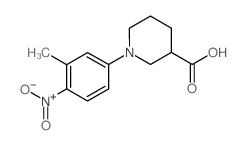 1-(3-Methyl-4-nitrophenyl)piperidine-3-carboxylic acid结构式